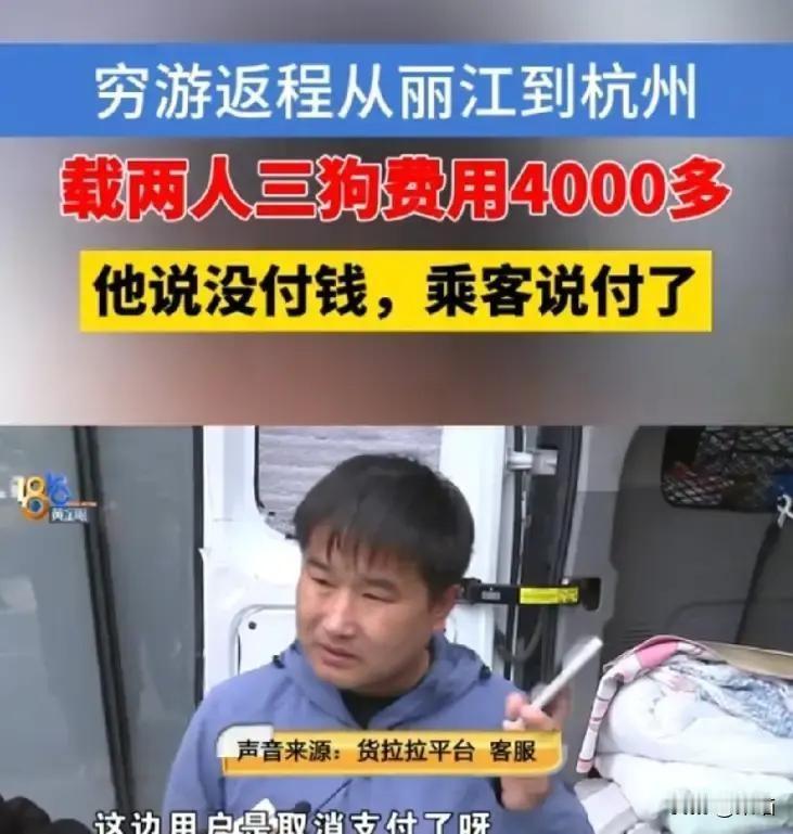 浙江杭州，薛先生开着面包车从丽江接了一单回程活，拉着两名女乘客、三条大狗和一堆露