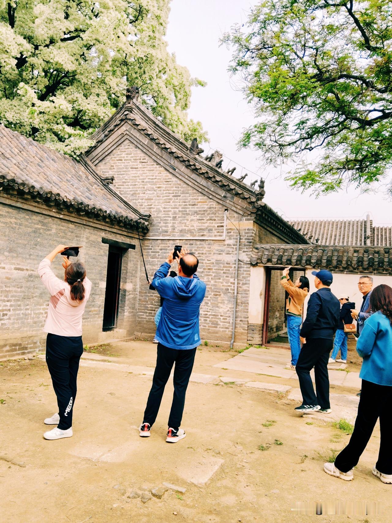 今天又去了孟府拍了一张流梳美图，孟府的流梳正是花开的季节，吸引了众多游客争相拍摄