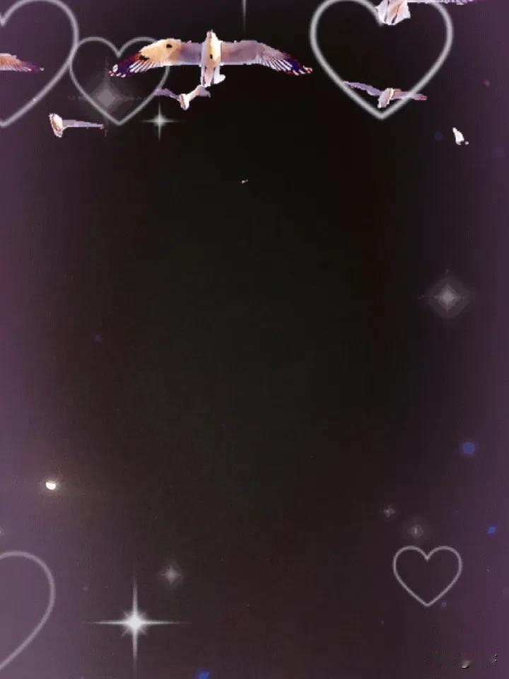 17~24℃，晴朗，晚上有月亮。