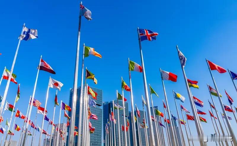 别让"政治洁癖"捆住中国的手脚？这届网友的清醒认知太绝了
 
       总有