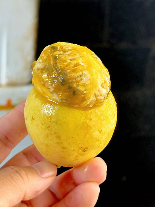 夏天怕晒黑的姐妹们，你们的救星来了