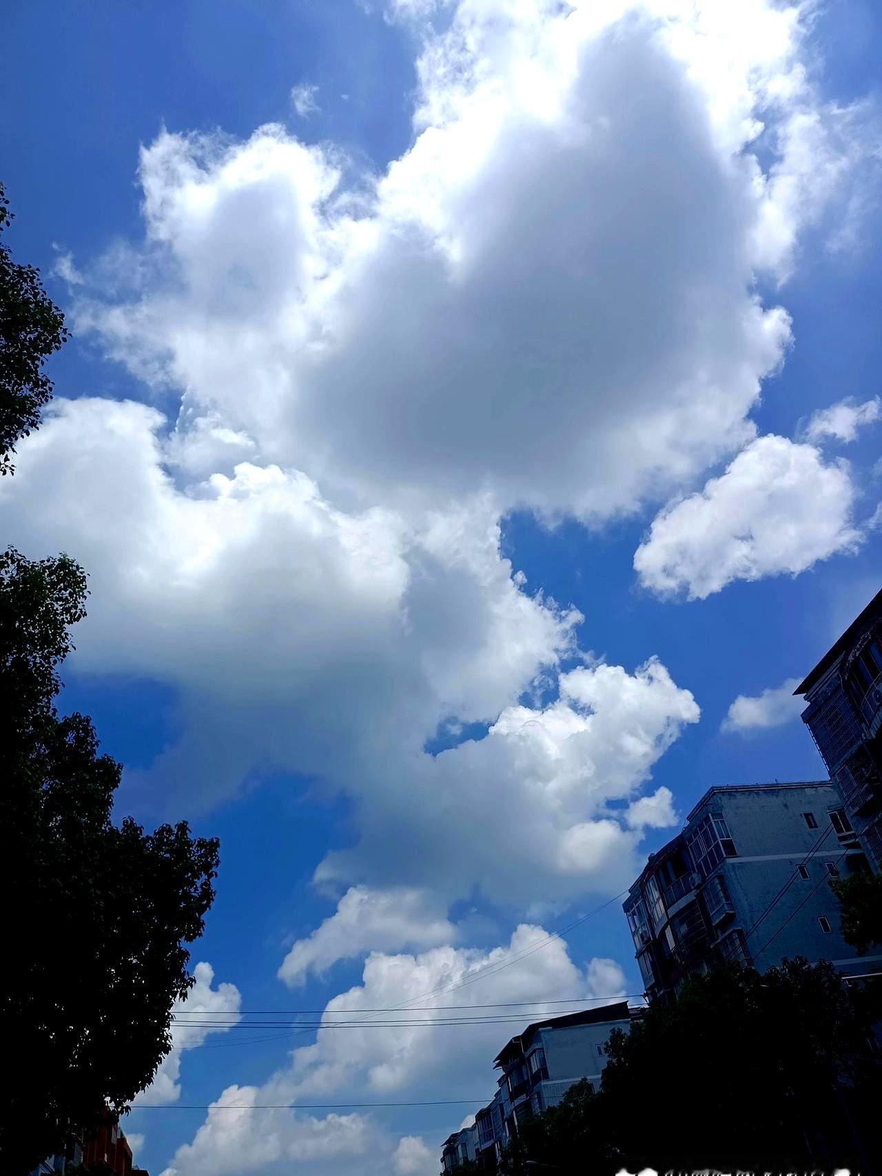 清晨电话吵醒人，说老太婆想回去住，还保证不再打不再骂。
耳边却还回响那次保温杯砸