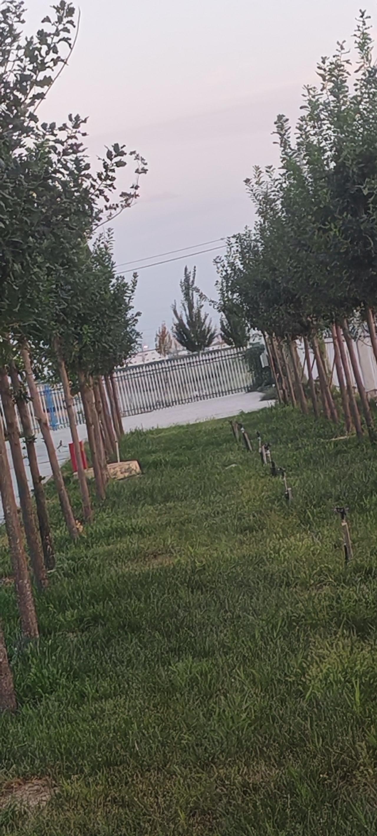 人这一辈子，到底是活给自己，还是活在别人眼光里？年轻的时候总想争面子，拼命想得到