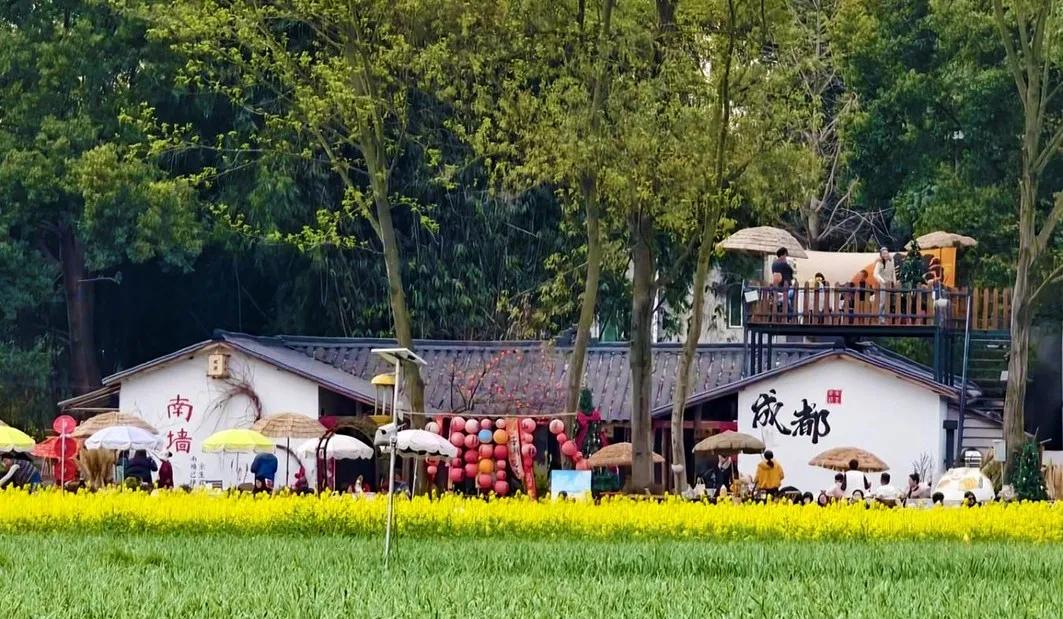 这个村“共富实验”，如何用3个“整村运营”模式，实现人均收入4万+ ？

成都市
