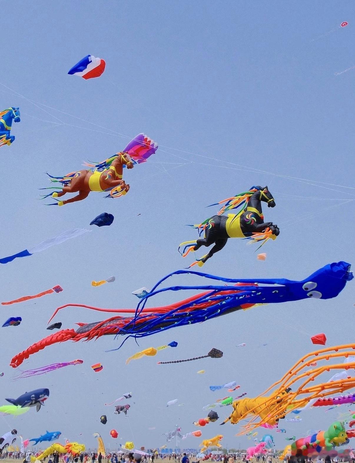 第一次见会搭讪的风筝第一次用社牛评价一个风筝😂潍坊这只风筝太会了！不卷高度专搞