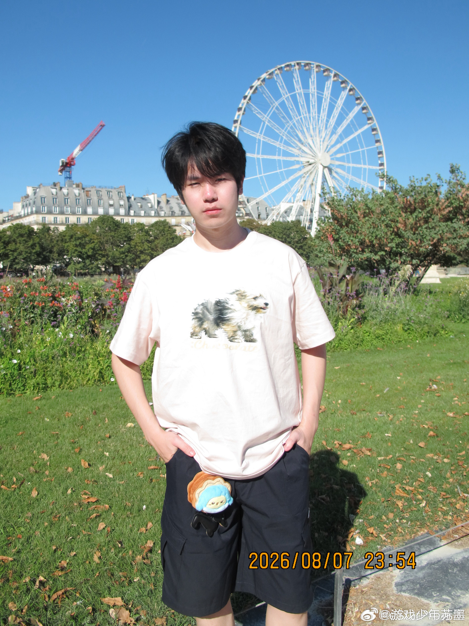 花海带着耶宝打卡巴黎花海：带着耶宝打卡已兑现，法国日记暂告一段落