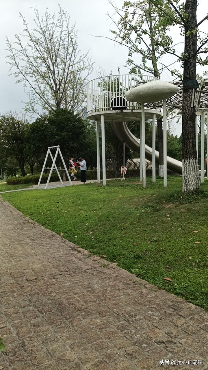 我超认同
“健康是最大财富”这话有两面性
没健康
财富便是浮云
如那些富豪
资产