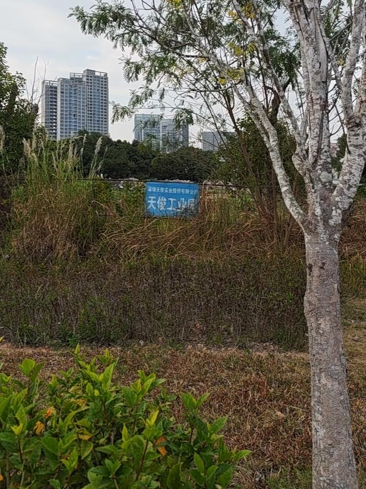 这块地荒了好多年了，一直在这里。

这块地是深圳天俊实业股份有限公司名下的天俊工