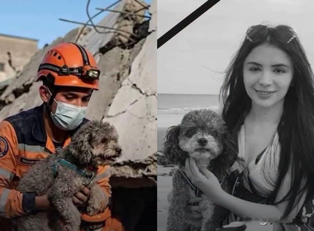 地震坍塌瞬间，她用肉身护住怀中爱犬，哥伦比亚7.4级地震催泪真实故事🥺
试想，