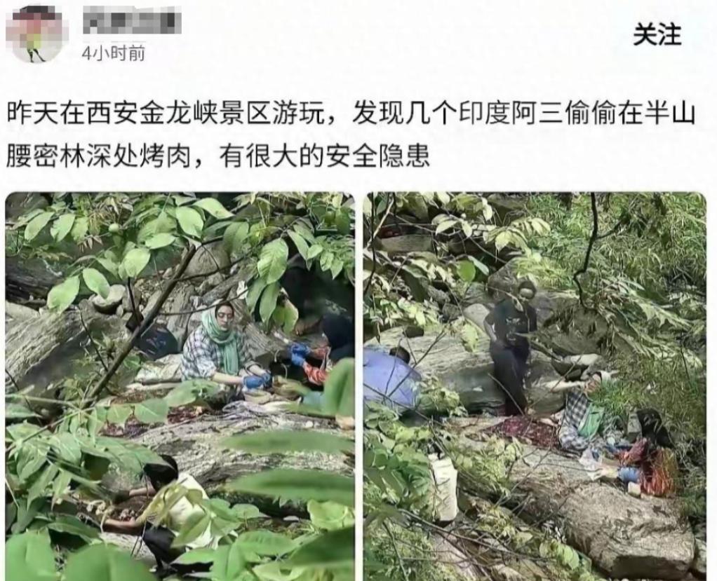 太让人气愤！印度这是把我们的森林当成他们自家后院了吗？

秦岭防火区里竟有印度籍