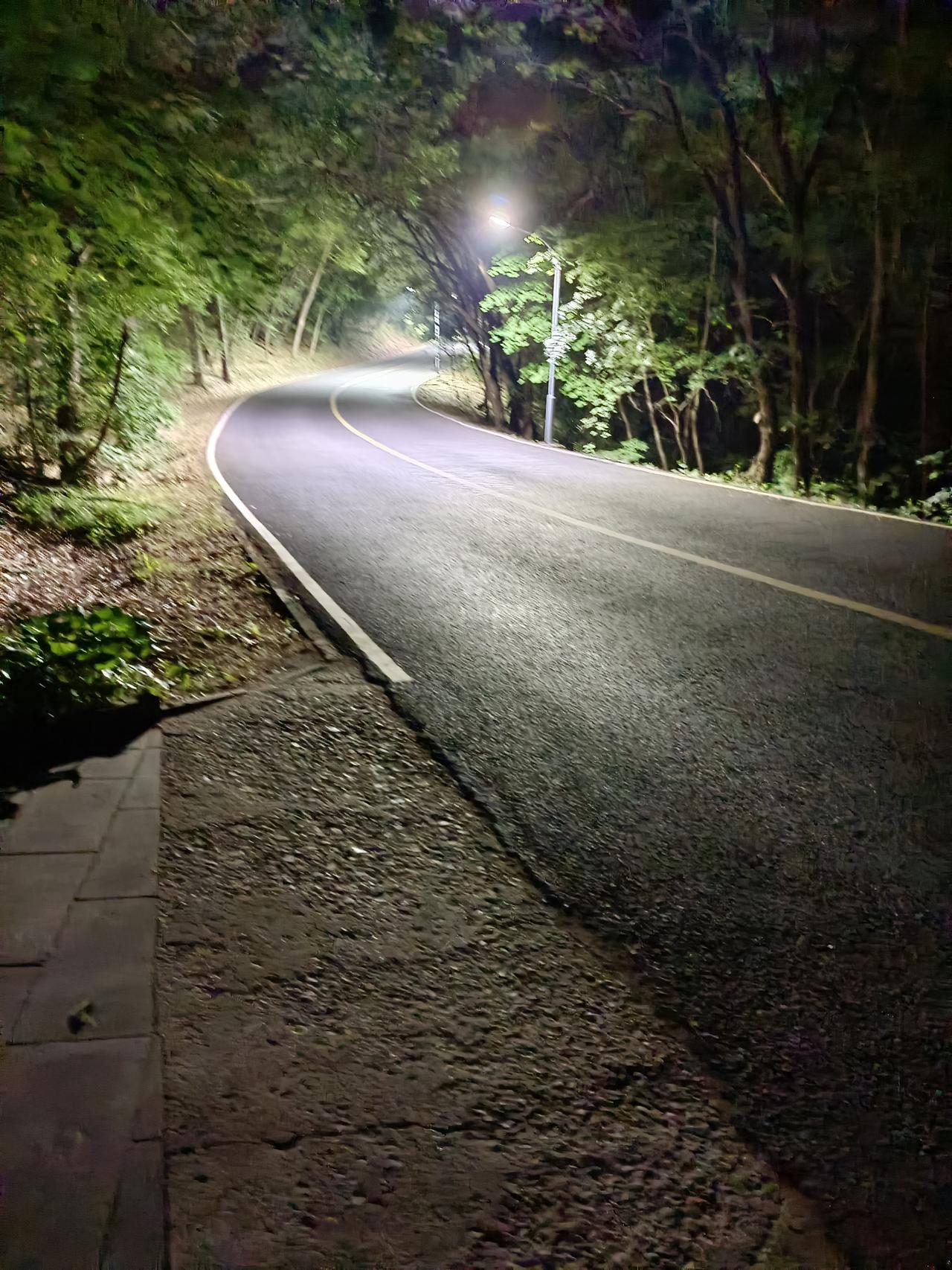 狗上餐桌谁之过？

随着养狗的人越来越多，有的人在饭店就餐的时候，居然让狗也上餐