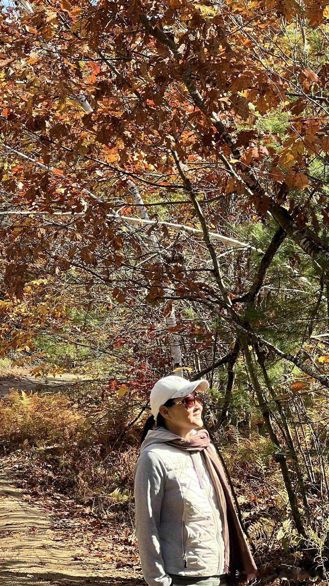 看看一个再婚女人的顶级自爱

忍不住心中的狂喜，刚刚，终于签订了去南美五国加南极