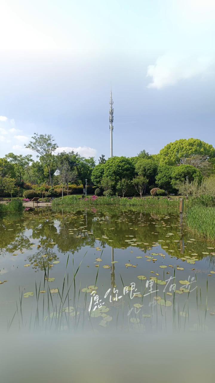 浪漫五月已经抵达，人生的故事写在四季里。愿你一路出发，一路繁华。愿你眼里有光，心
