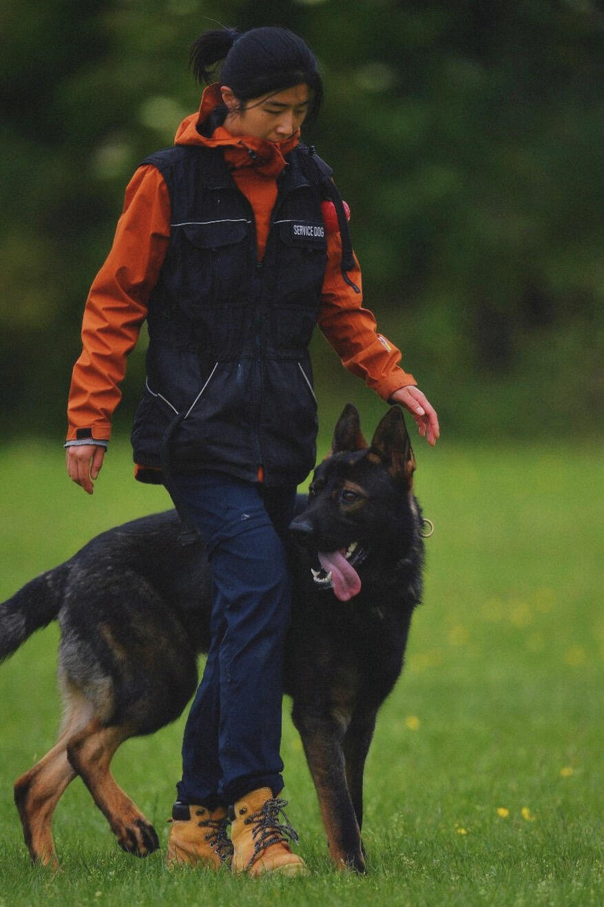 🇳🇱最近的训犬感想随记