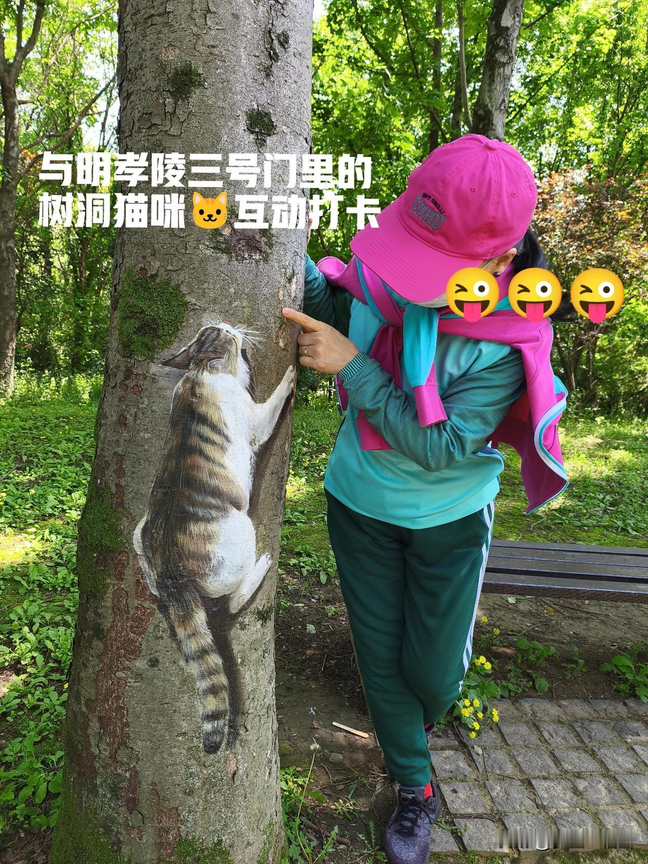 带孩子的游客一定要来明孝陵与树洞猫咪🐱打卡哦
五一天气真好，走进明孝陵3号门里