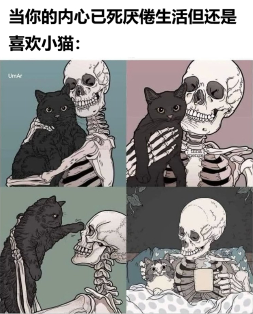 💀🐱 