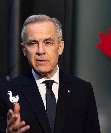 正在华访问的加拿大总理卡尼宣布

1月16日，加方将对4.9万辆中国电动汽车以6