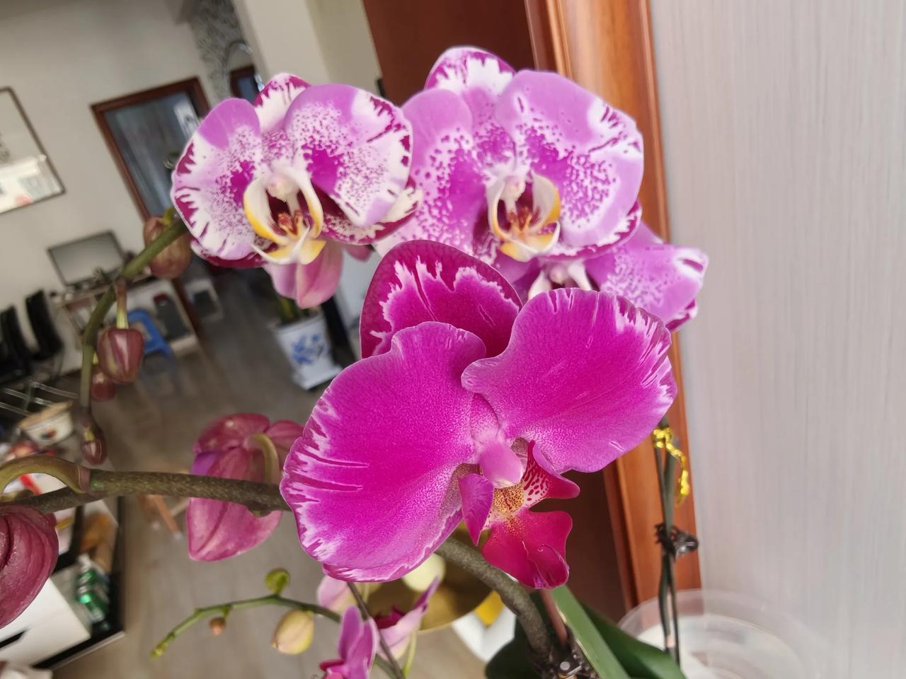 进入立春