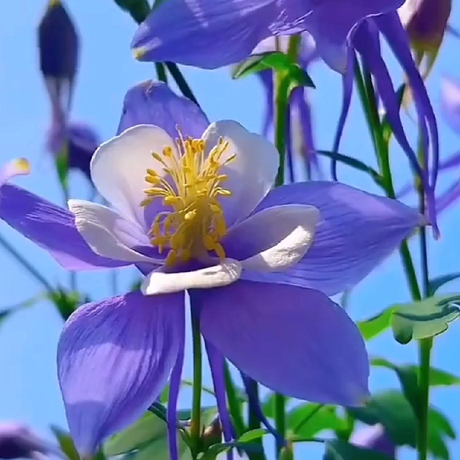 如果你不是真心的对我，那就不要对我太好。
因为我这个人比较喜欢依赖。
有人对我好