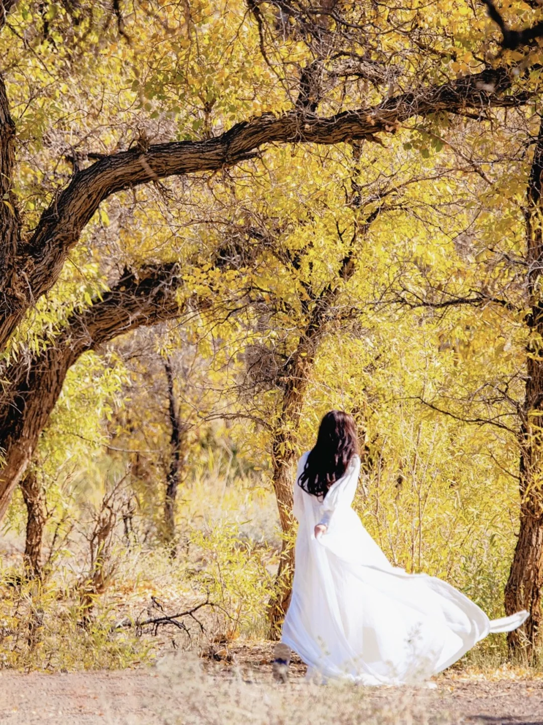 独库公路，金秋末班车，南疆10日大环游