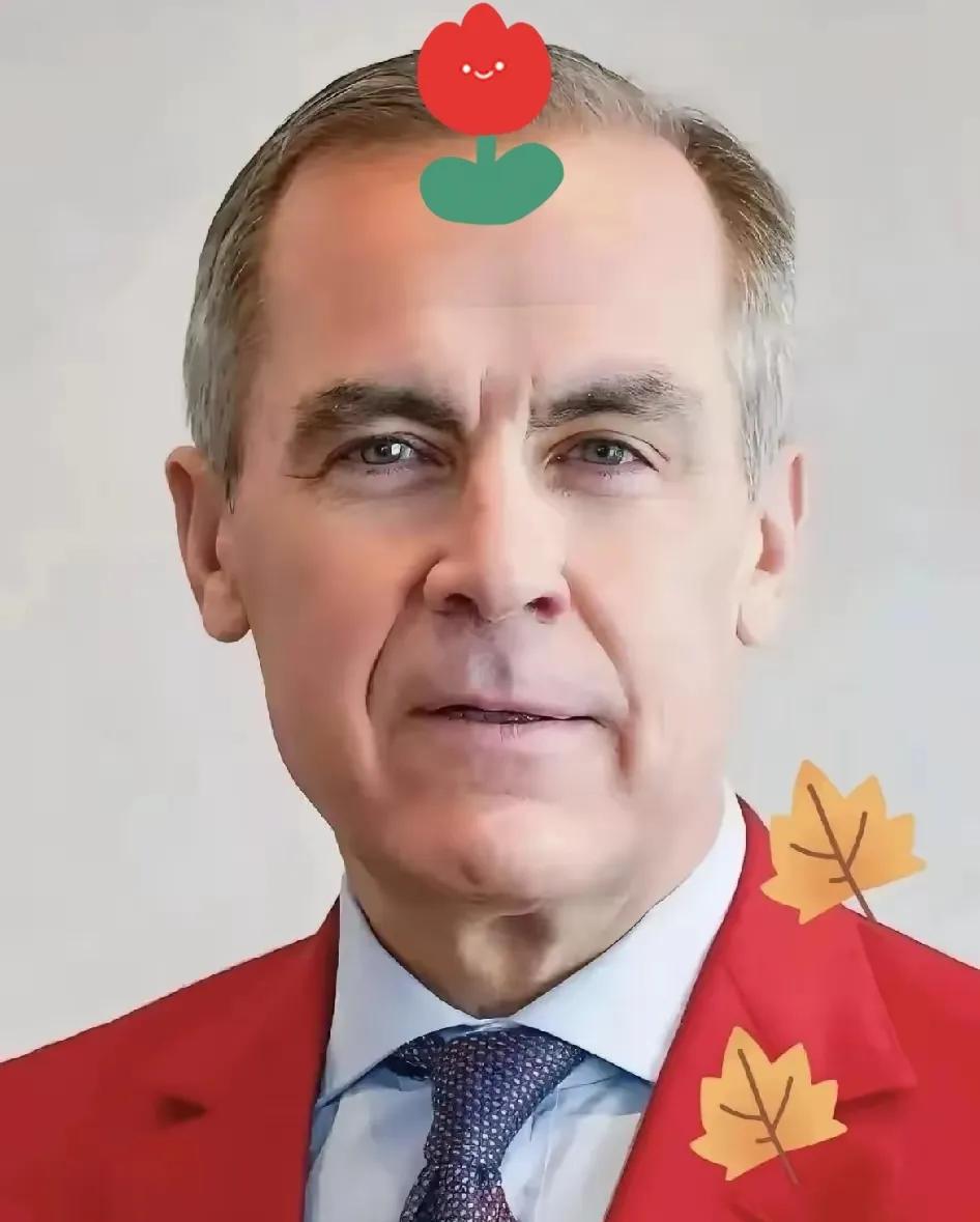 快报，快报！
加拿大内讧，省长逼宫总理取消对中国电动车关税


100%关税壁垒