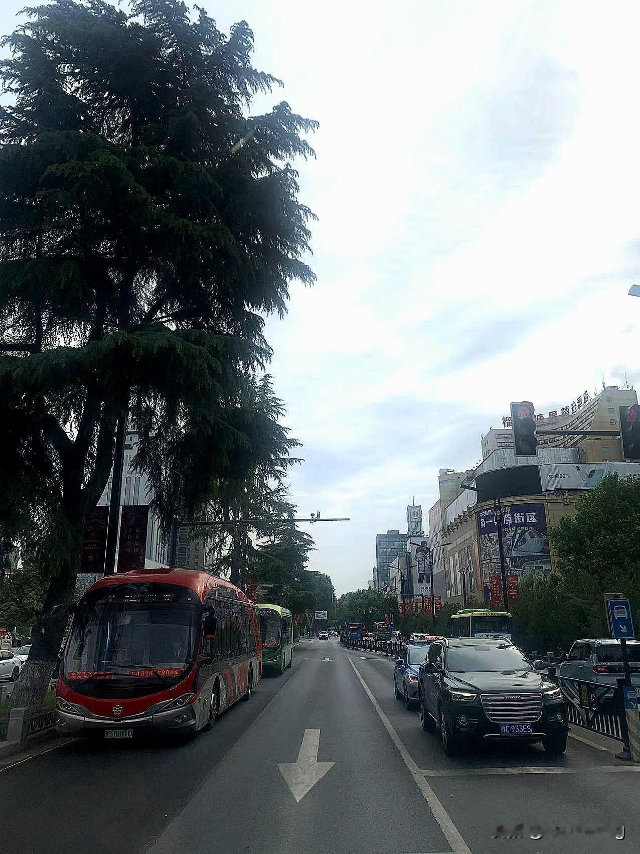 每天写一条头条，希望能养成习惯～
配这篇文章的图片是2018年拍的，当时还是一部
