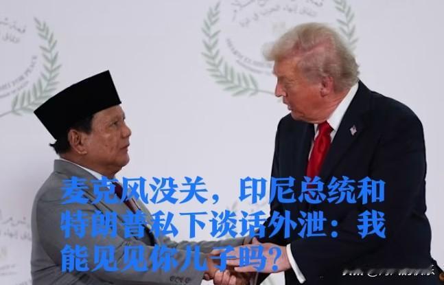 麦克风没关，印尼总统和特朗普私下谈话外泄：我能见见你儿子吗？

   据外媒报道
