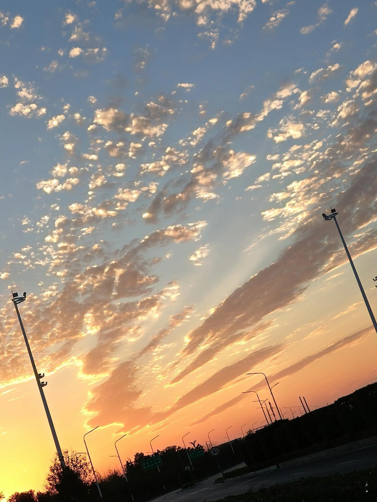 洒脱的夕阳[赞]