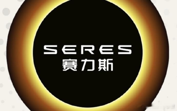 赛力斯维权索赔100万爱企查显示，近日，重庆市两江新区人民法院向梁某某公告送达起