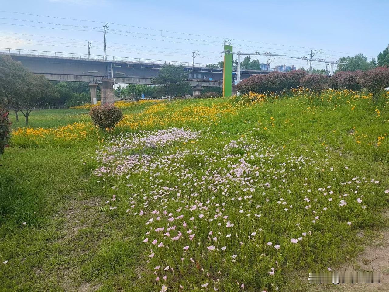 【小对联】
上：……？
下：原油。
