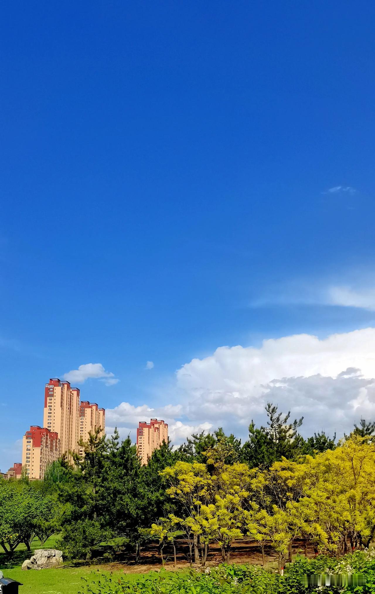 大同市御河东岸生态园随手拍
大同风景美如画 大同自然景观 山西大同风光美