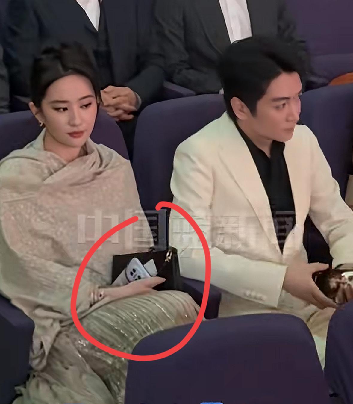 刘亦菲的手机是什么牌子的，看上去像素应该非常好