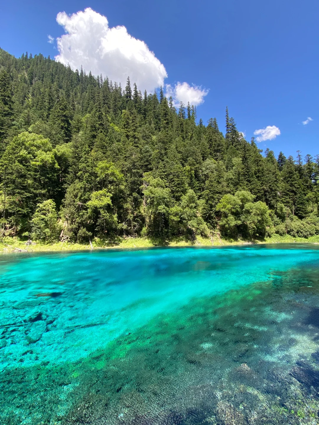 🏕️九寨甘南5日环线🚘2-6人旅拍纯玩小团