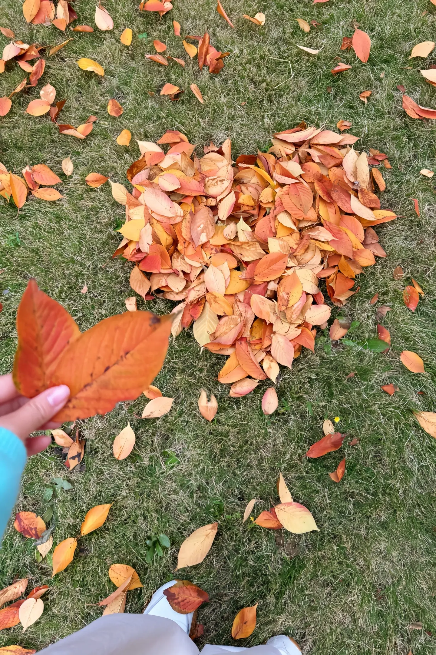 人在知足的时候最富有也在珍惜的时候最幸福。