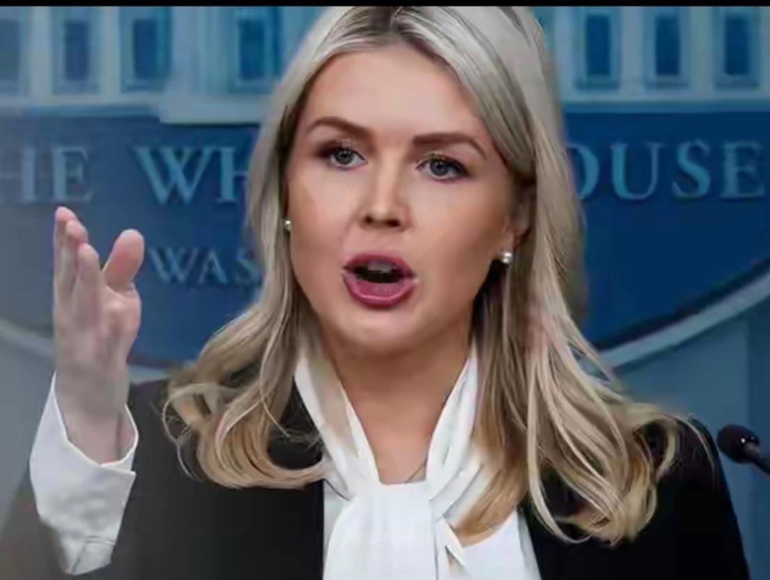 4月9日，白宫新闻秘书莱维特突然放话，总统特朗普认为北约“没能通过考验”，今天与