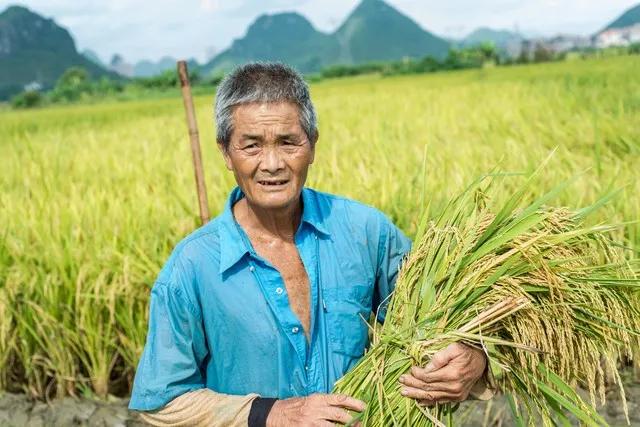 农民辛苦一年挣钱吗? 农民辛苦一年挣钱真不容易。就像有的农民工一年能赚6万，但可