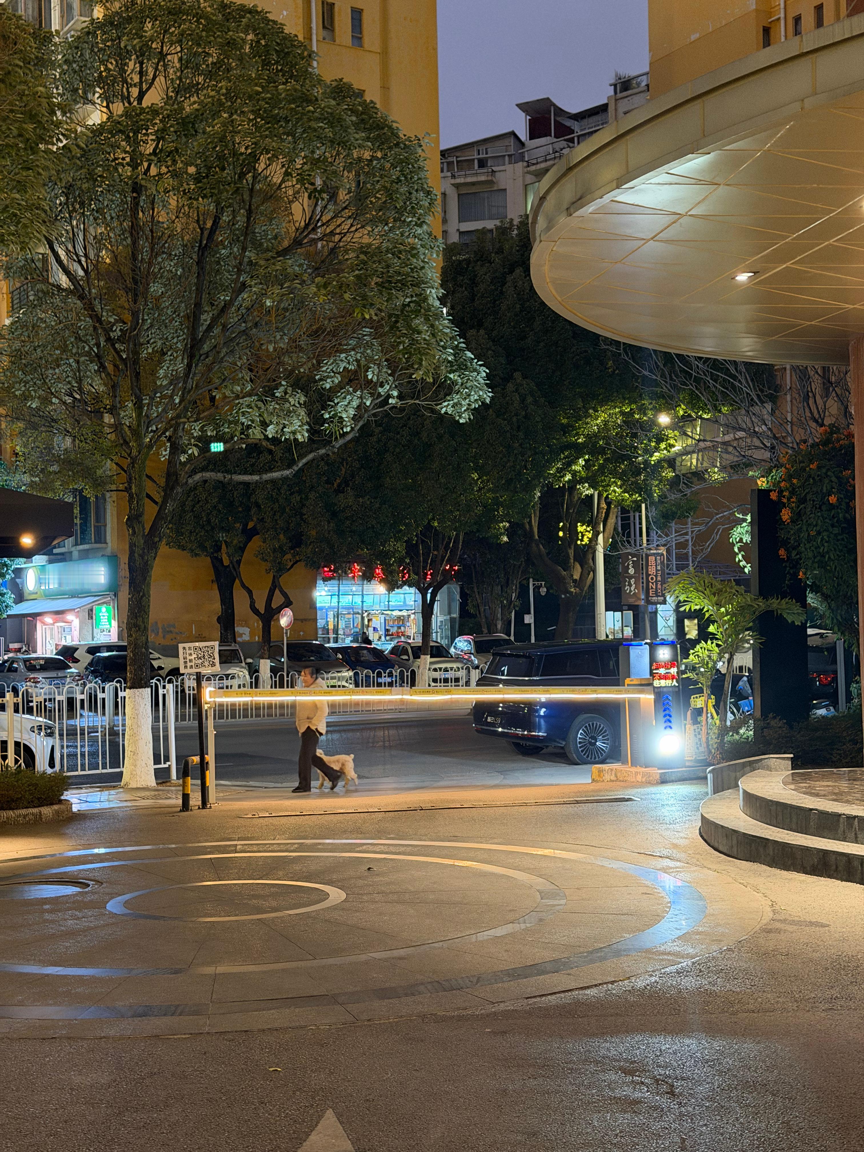 智己LS9太长了，不知道这样停，一会儿保安会不会diss我，但我在他这里消费吃米