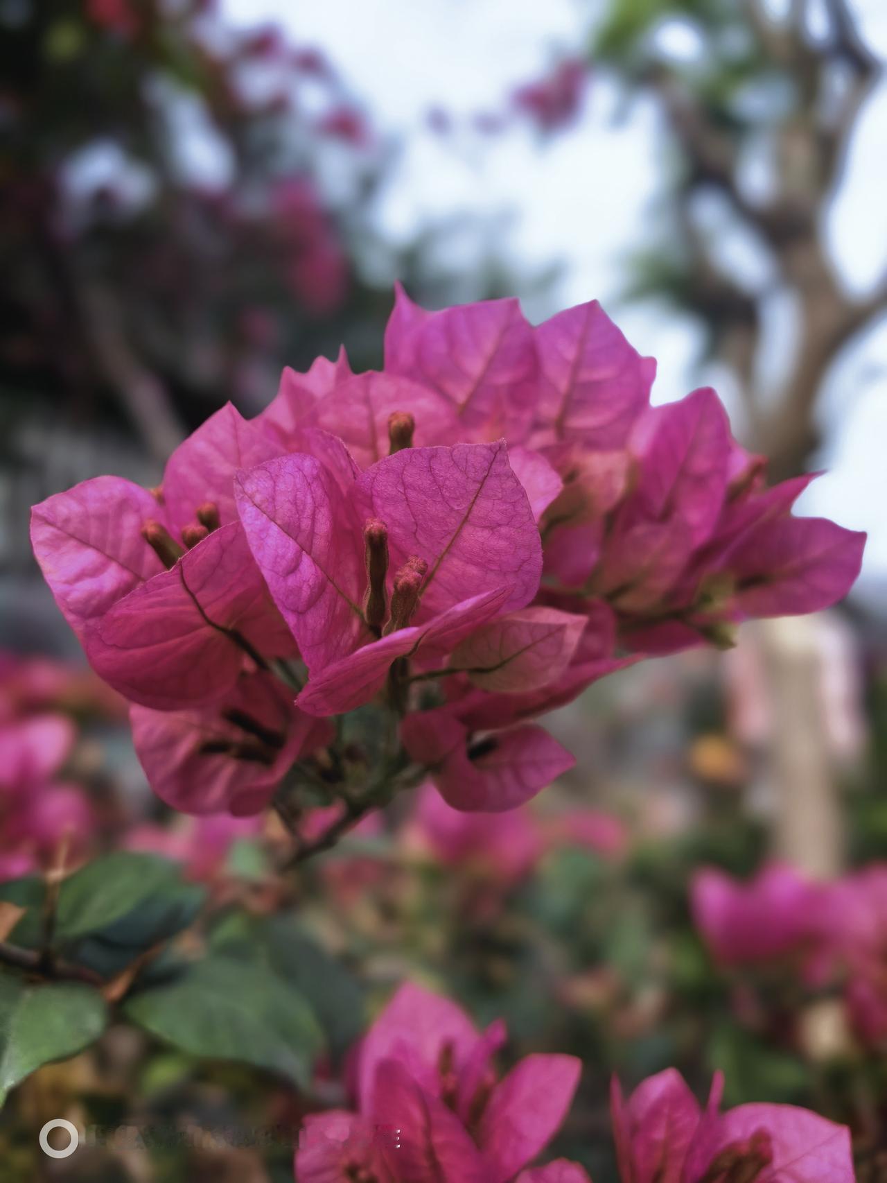 想知道云浮，肇庆什么时候免费停车，最近看到好多城市有关免收停车费的好消息，云浮肇