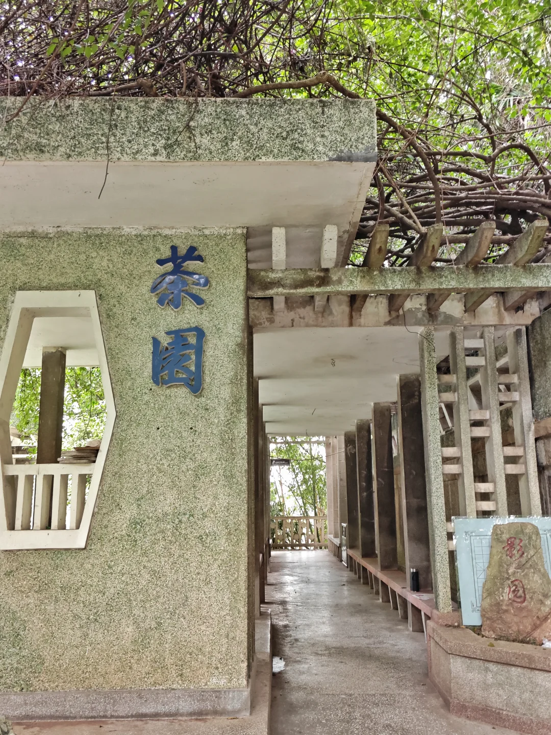 北碚公园与北碚之父(citywalk356)