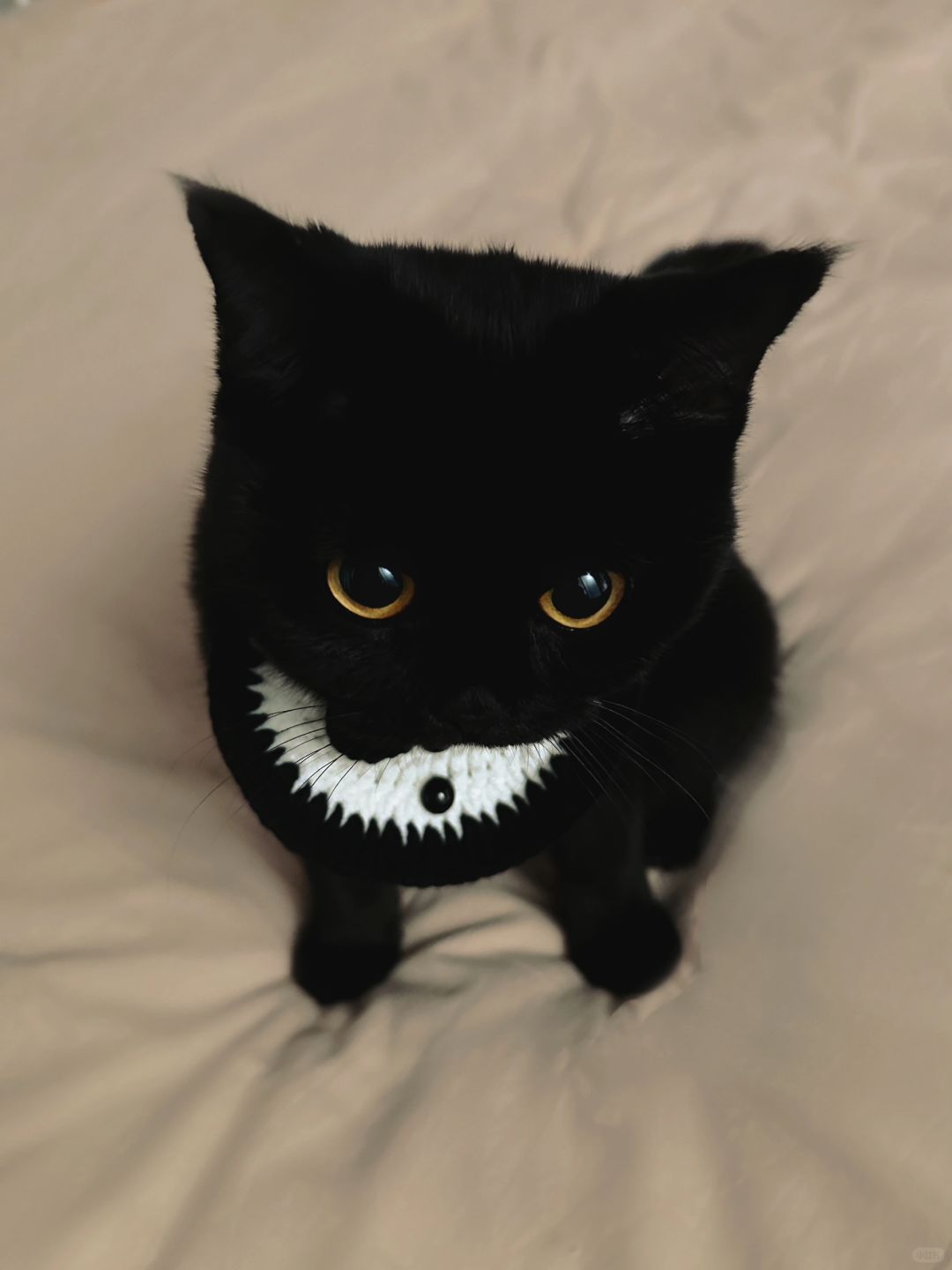 让她当一会小女仆她就生气了