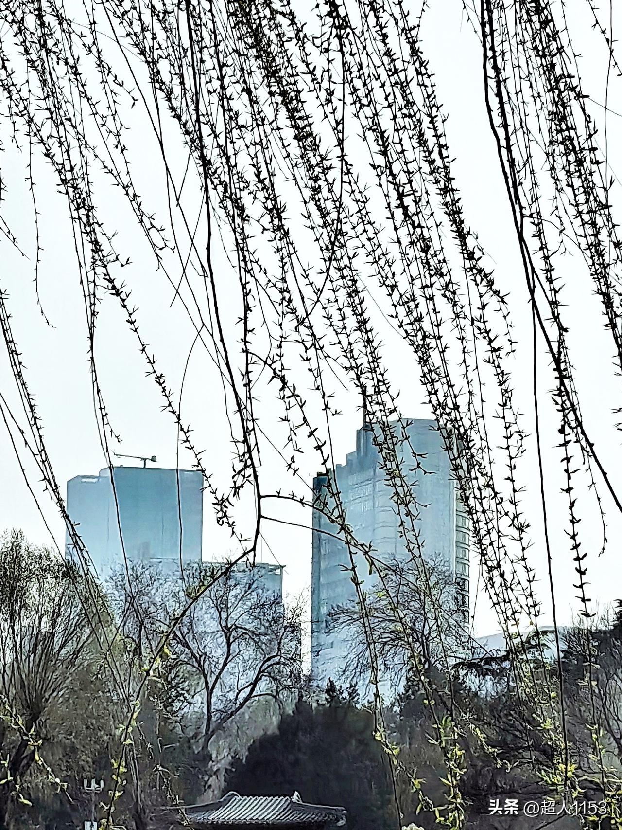 阳春三月好风光，
柳树也发了芽，
桃花也开了红艳艳，
处处是一片春天的景象。