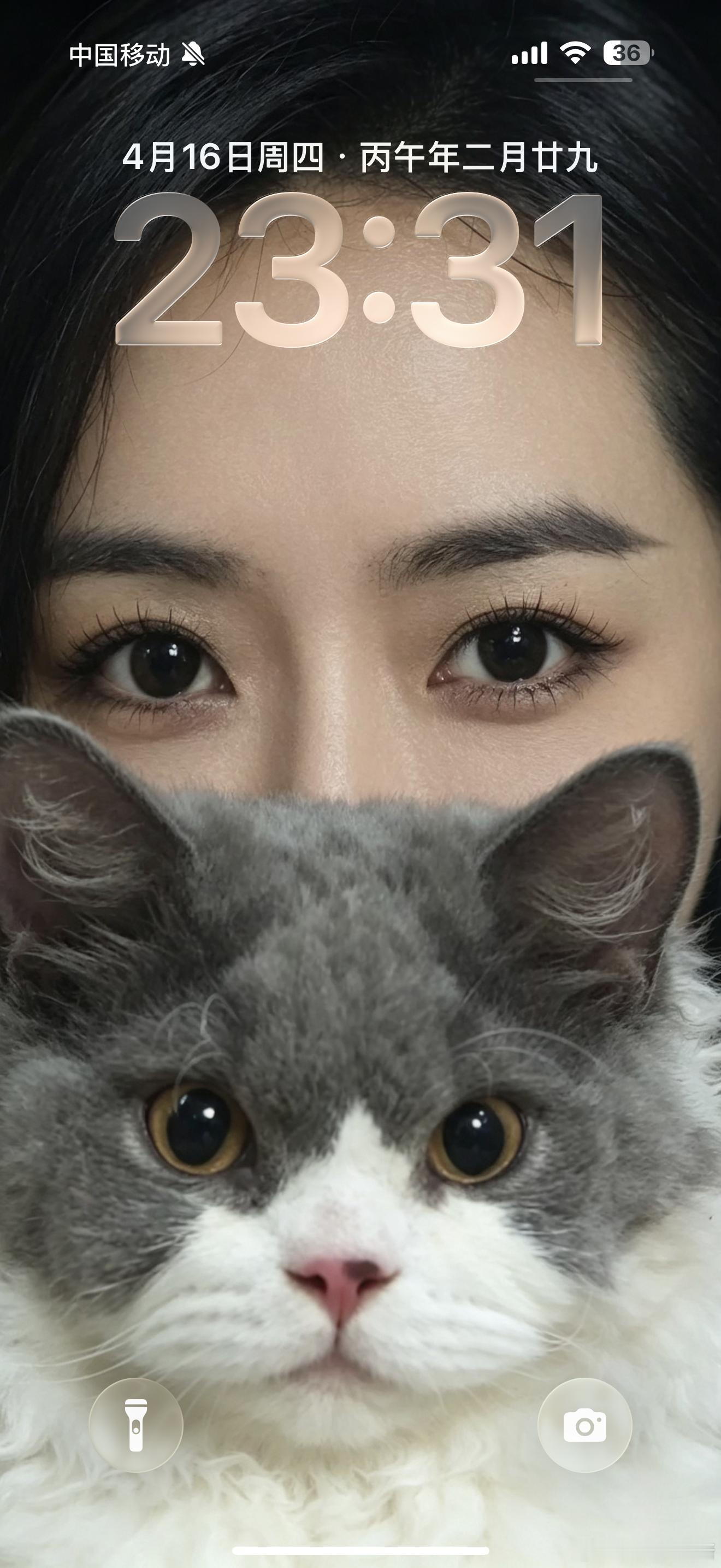 灰常喜欢这个新的手机桌面