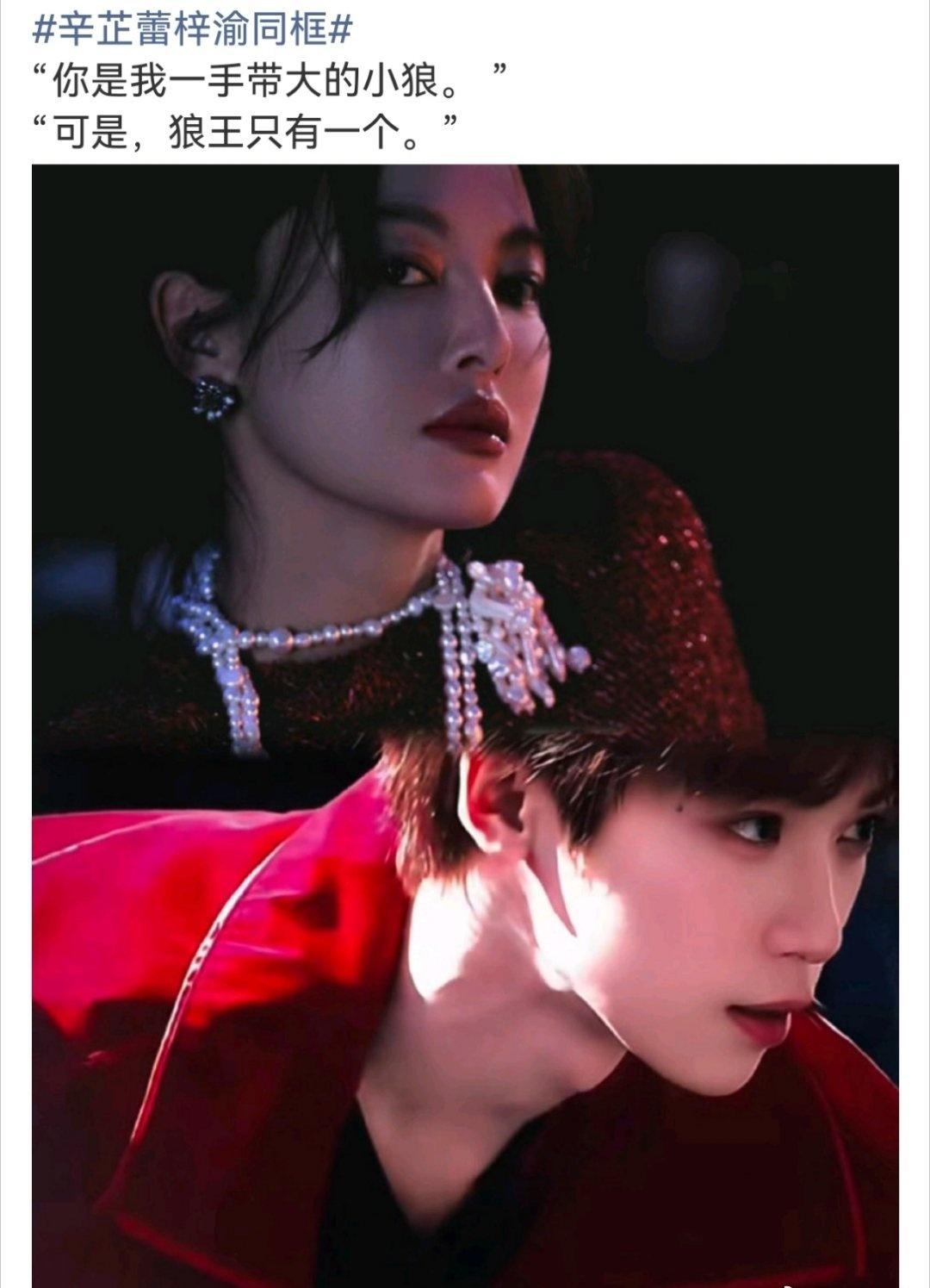 油饼没虽然但是，辛芷蕾无妄之灾 ​​​