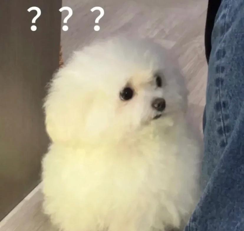 贴着腿不觉得很难受吗？而且还这么腥，带这么多别人肯定能闻得到把 ​