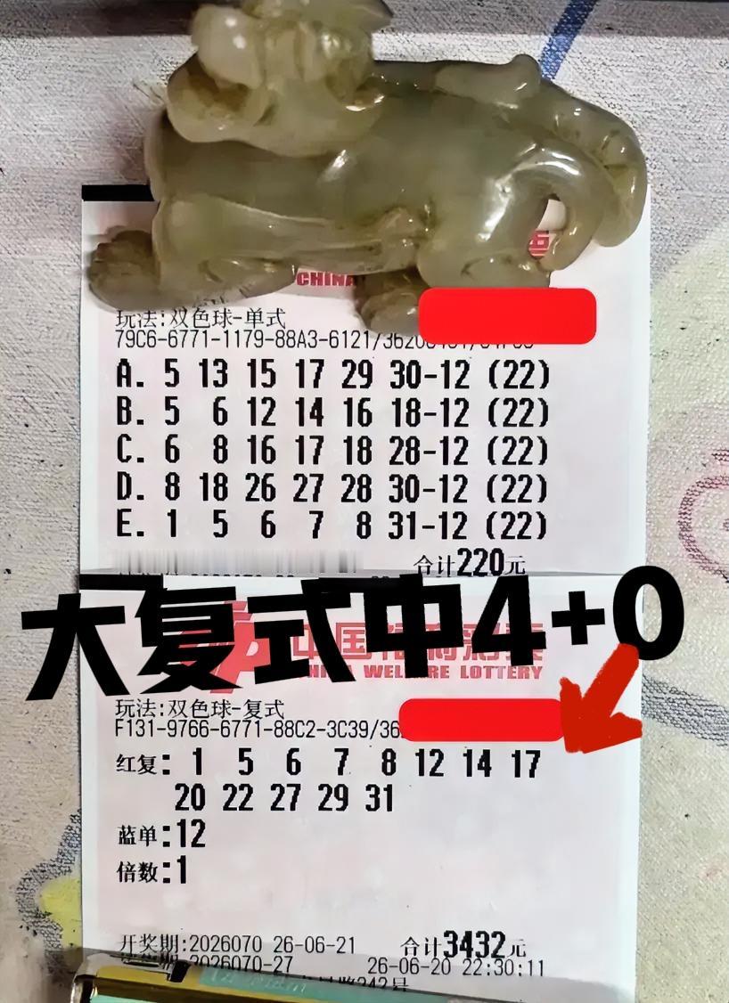 大佬这一期没有亏太多，大复式中了4+0，相比之前有很大进步，只是蓝区08追的时候