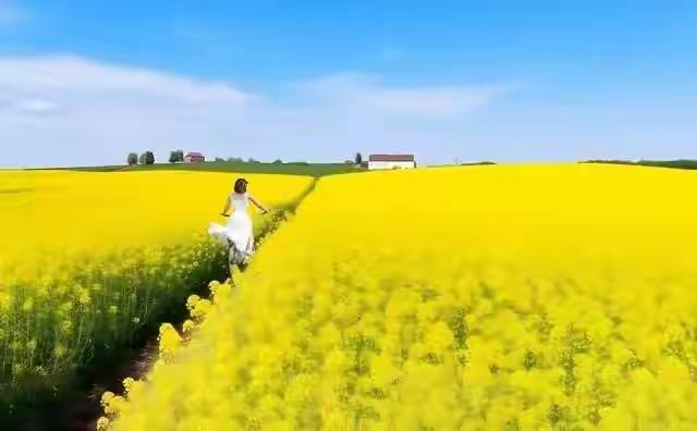 人这一辈子，都在忙着追名逐利，总觉得有钱有势就是赢家，可走着走着才发现，真正能让