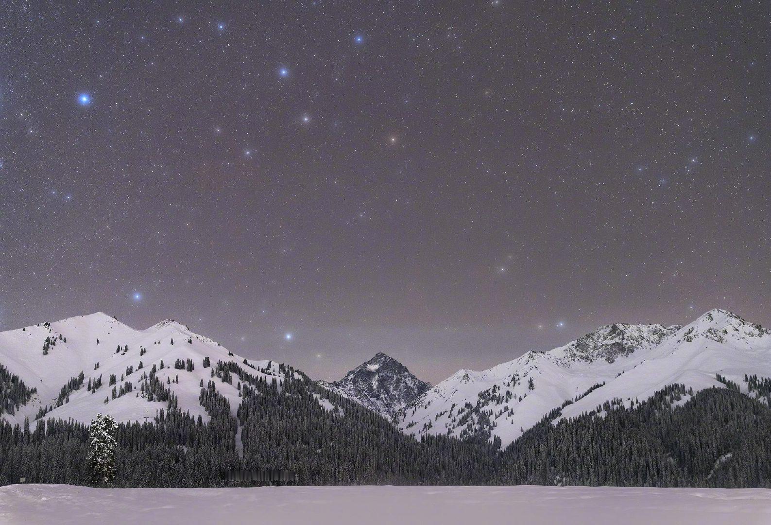 寒潮与降雪退去后的夜晚，天山群峰披着新雪静立在云杉林后。星光重新铺满夜空，冷色的