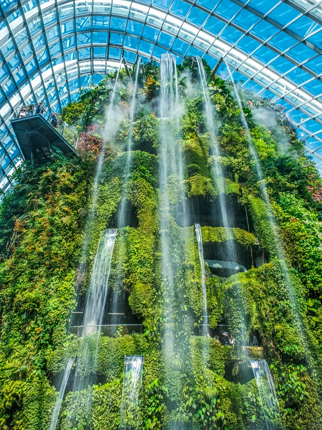 新加坡｜发明滨海湾花园的人真是一个天才！