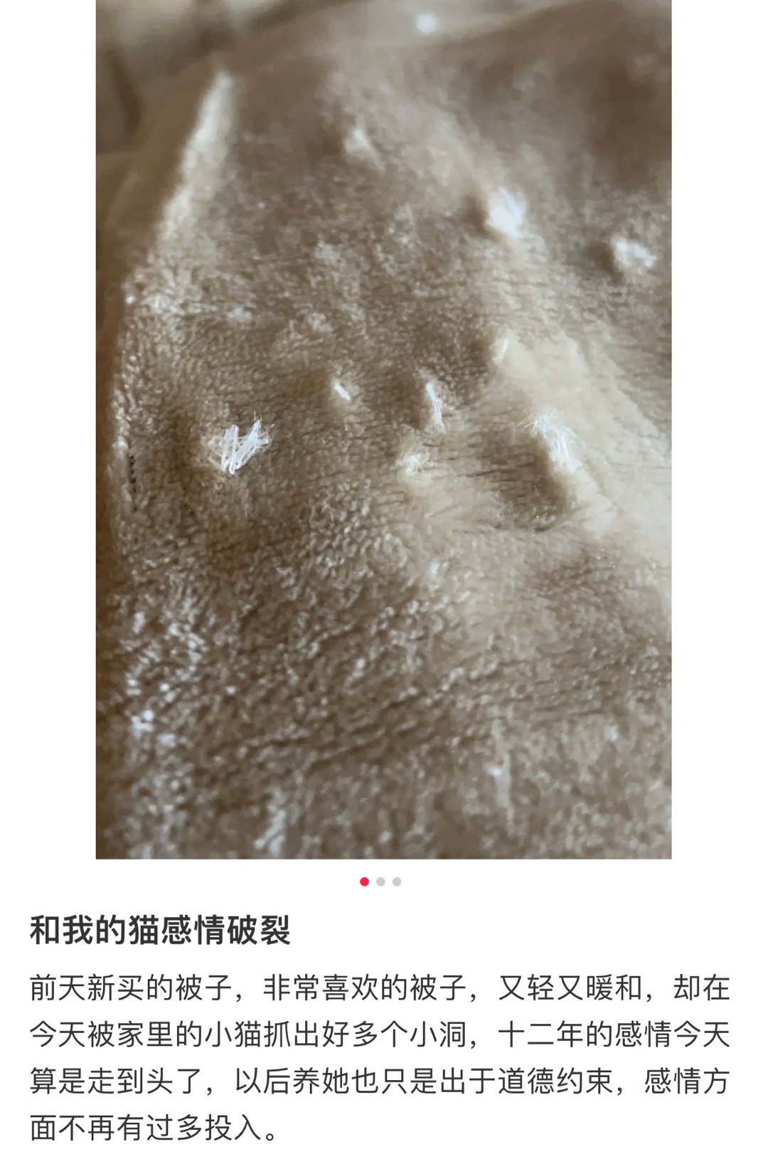 与猫咪感情破裂，从此冷脸铲屎不再爱 ​ ​​​