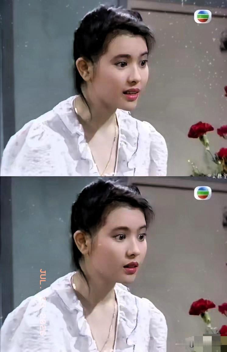 李立群第一次见到蓝洁瑛，当场愣了三秒。他偷偷拽过刘松仁，压低声音说：这姑娘……太